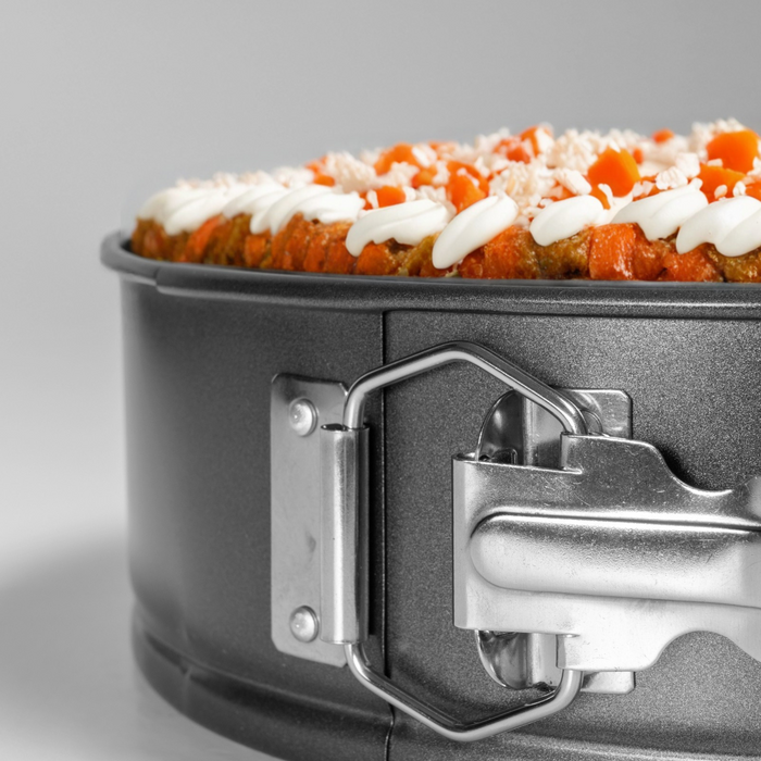 Cake in a springform pan with a gray background